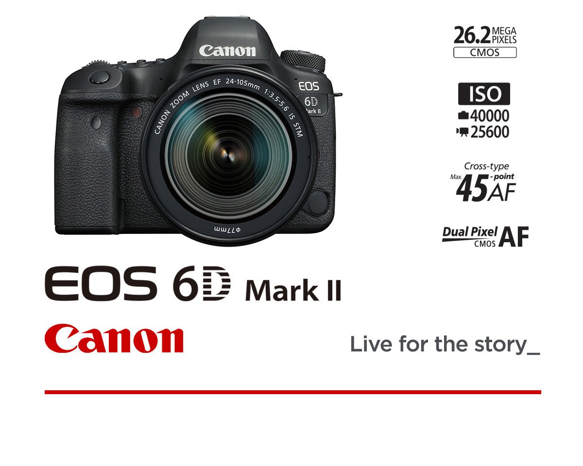 DISPONIBILE CANON EOS 6D MARK II+24-105/3.5-5.6 IS STM