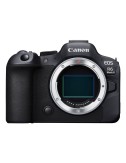 CANON EOS R6 MARK II BODY
