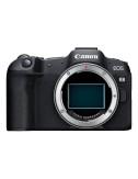 CANON EOS R8 BODY