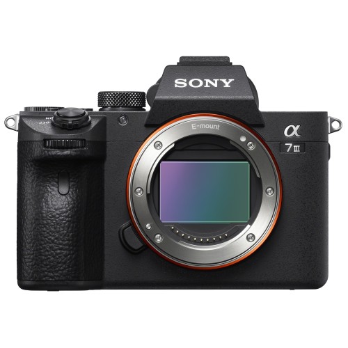 SONY A7 III + 24-105mm f 4 - ILCE7M3GBDI