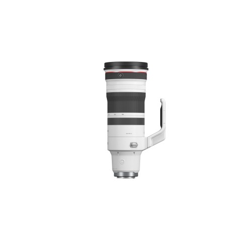 CANON RF 100-300mm f 2.8 L IS USM