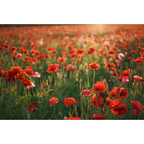 SIGMA 28-45mm f/1.8 DG DN...