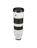 SONY FE 200-600mm f/5.6-6.3 G