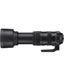 SIGMA 60-600mm f/4.5-6.3 DG...