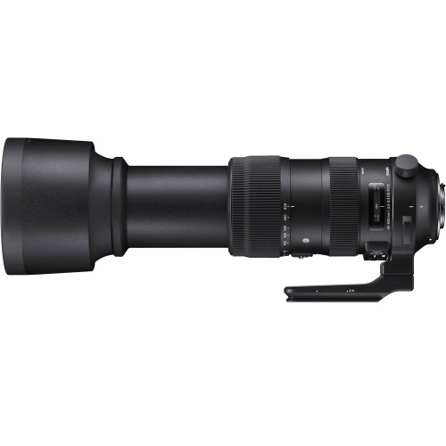 SIGMA 60-600mm f/4.5-6.3 DG...