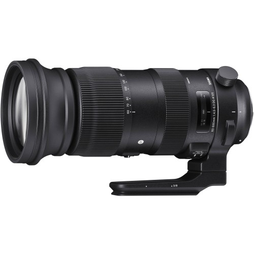 SIGMA 60-600mm f/4.5-6.3 DG...