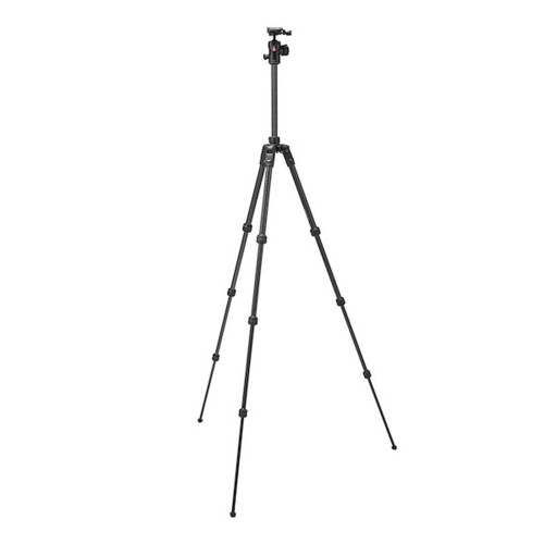 MANFROTTO MKBFRTC4FB-BH