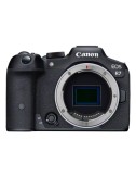 CANON EOS R7 BODY