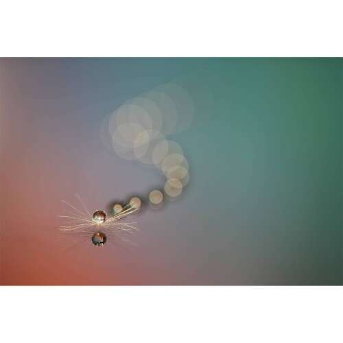 SONY FE 100mm f/2.8 GM - SEL100F28GM