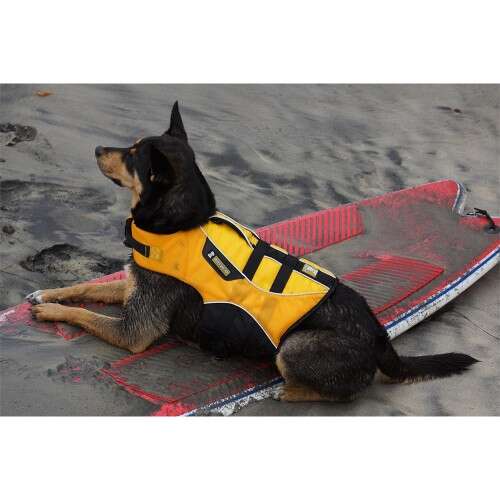 SONY E 55-210mm f/4.5-6.3 - SEL55210B