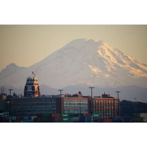 SONY E 70-350mm f/4.5-6.3 - SEL70350