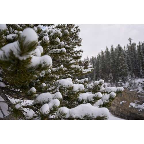 SONY FE PZ 16-35mm f/4 G - SELP1635G