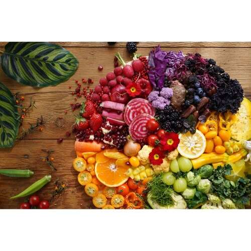 SONY FE 40mm f 2.5 G - SEL40F25G