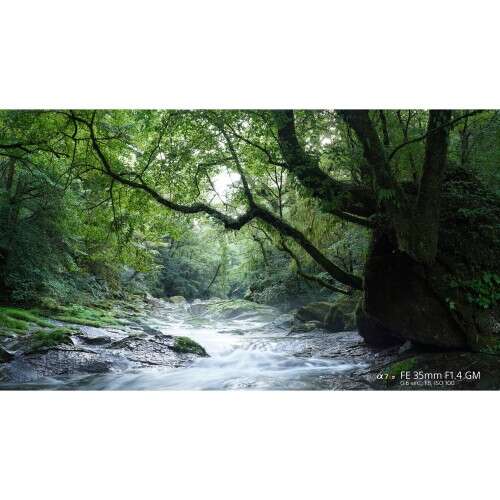 SONY FE 35mm f/1.4 GM - SEL35F14GM