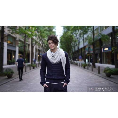 SONY FE 35mm f/1.4 GM - SEL35F14GM