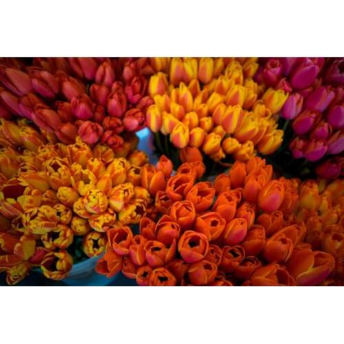 SONY FE 28mm f/2 - SEL28F20