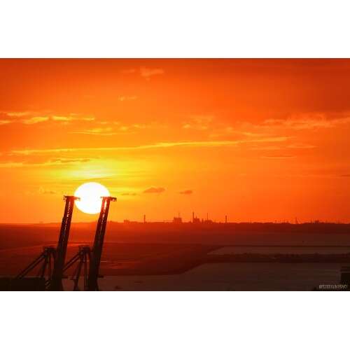 CANON EF-S 55-250mm f/4-5.6 IS STM