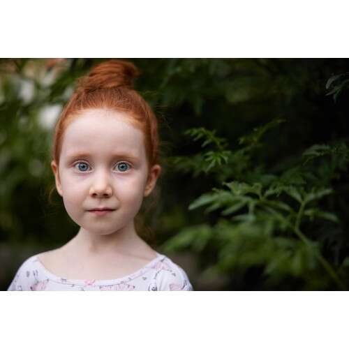 CANON RF 28-70mm f/2.8 IS STM