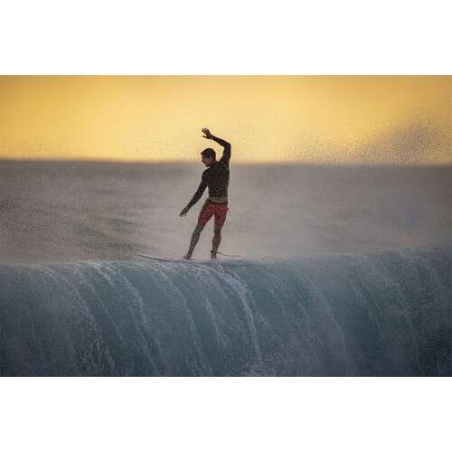 CANON RF 600mm f/4 L IS USM