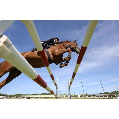 CANON EOS R6 MARK II+RF 24-105mm f/4 L IS USM