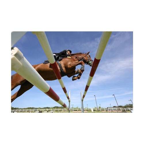 CANON EOS R6 MARK II BODY