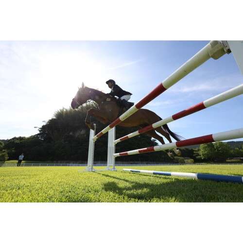 CANON EOS R6 MARK II+RF 24-105mm f/4-7.1IS STM