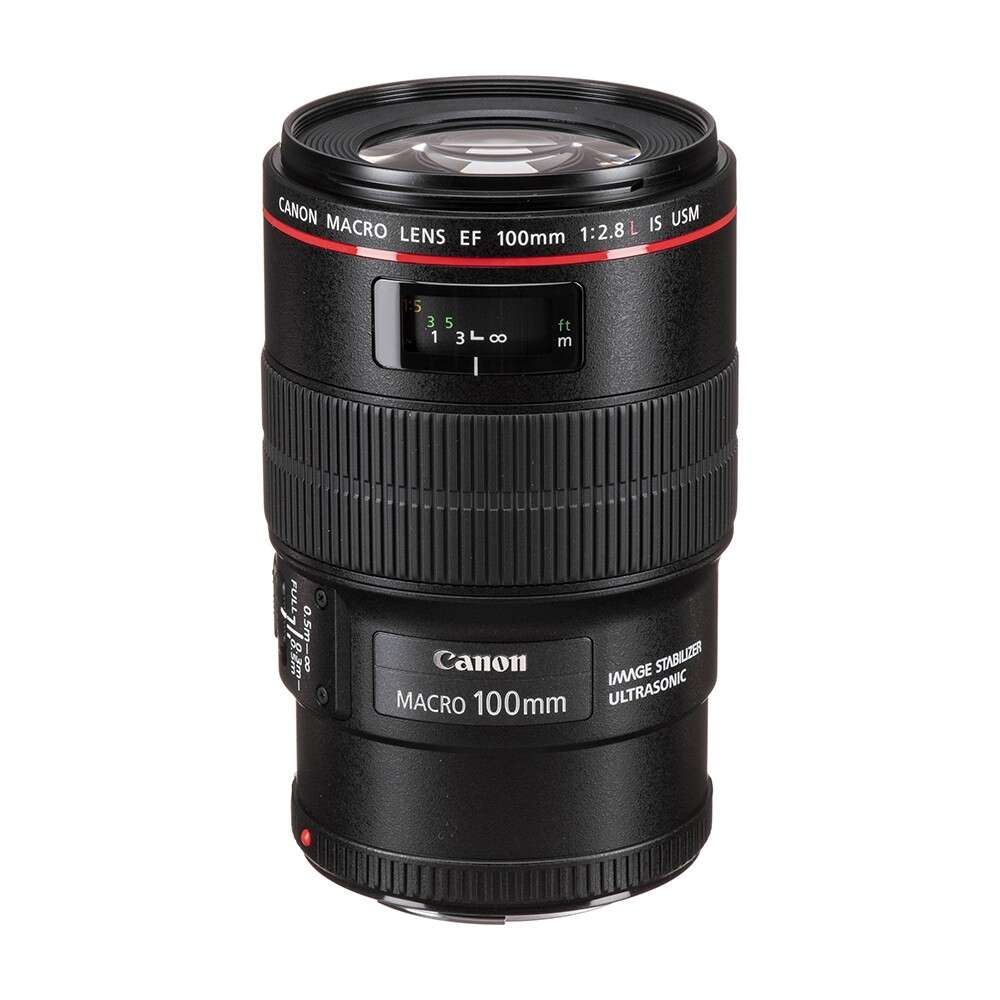 CANON EF 100mm f/2.8 L IS USM MACRO