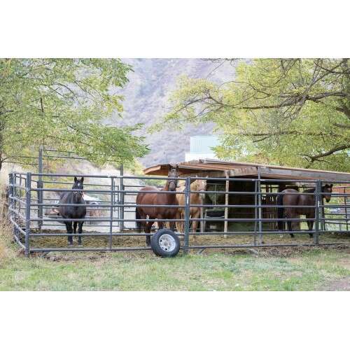 CANON EF 85mm f/1.4 L IS USM