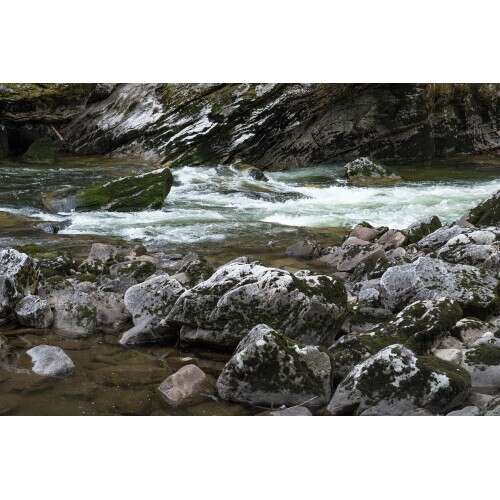 CANON EF 85mm f/1.4 L IS USM