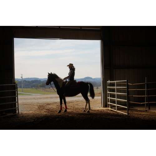 SONY A7 IV + 28-70mm f/3.5-5.6 - ILCE7M4KB