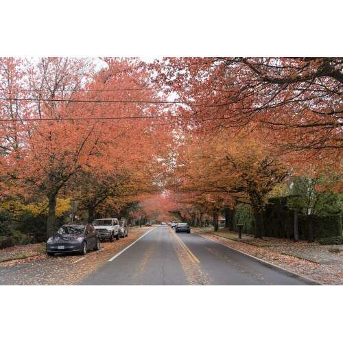 SONY A7C II + 28-60mm f/4-5.6 BLK - ILCE7CM2L