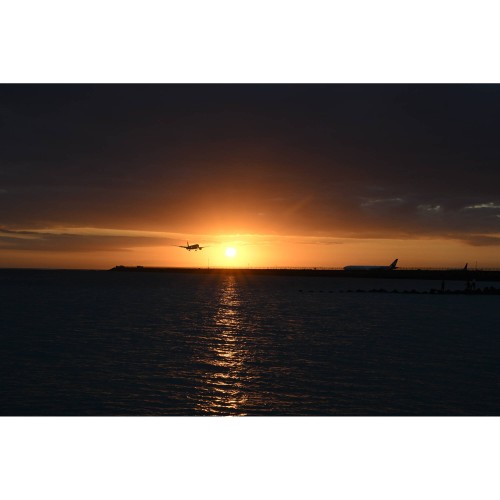 NIKON NIKKOR Z DX 16-50mm f/2.8 VR