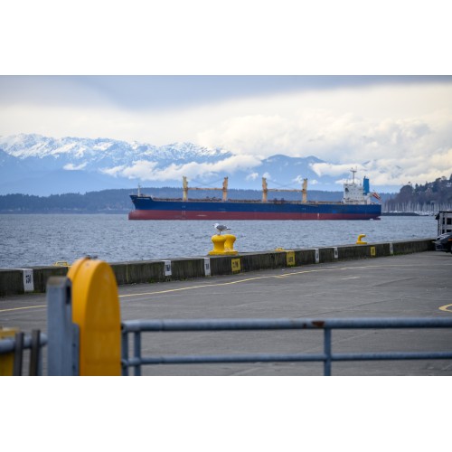 NIKON NIKKOR Z 24-200mm f/4-6.3 VR DA KIT - GARANZIA UFFICIALE NITAL 4 ANNI