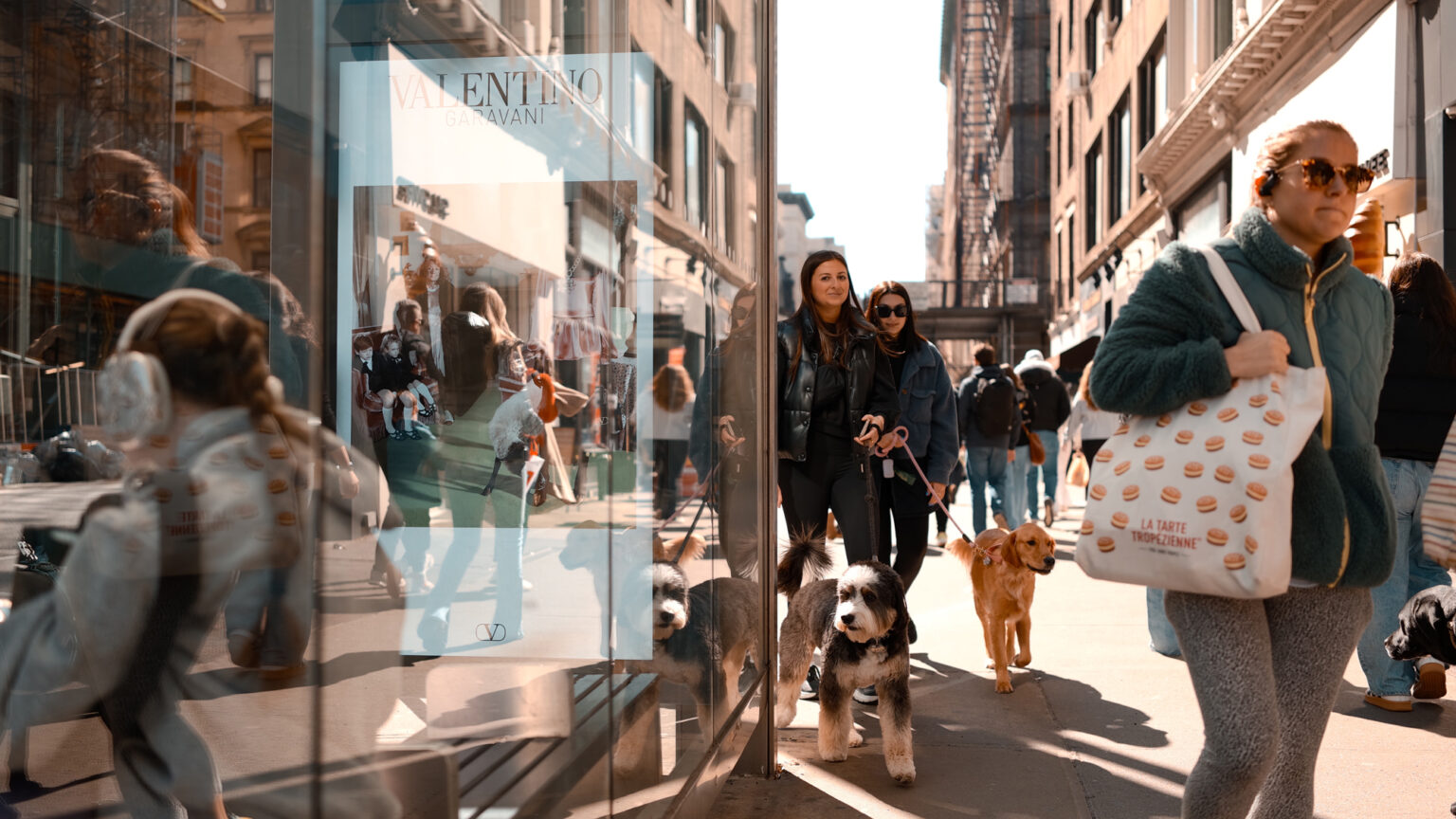 Street photography scene with pedestrians and dogs in the city