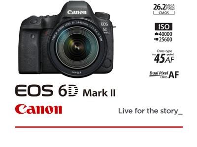 DISPONIBILE CANON EOS 6D MARK II+24-105/3.5-5.6 IS STM